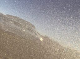 
										Вживанi 2019  KIA Niro заповнено									