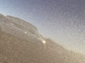 Вживанi 2019  KIA Niro