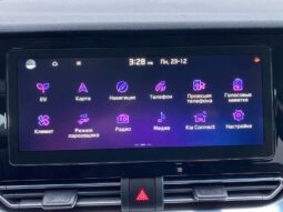 
										Вживанi 2020  KIA Niro заповнено									