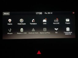 
										Вживанi 2020  KIA Niro заповнено									