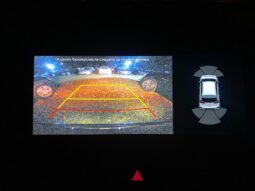 
										Вживанi 2020  KIA Niro заповнено									