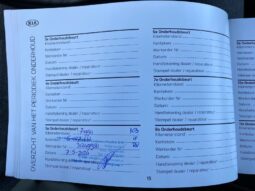 
										Вживанi 2019  KIA Niro заповнено									