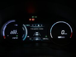 
										2019 KIA Niro заповнено									