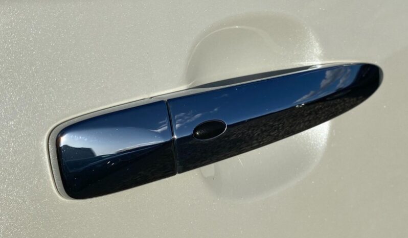 
								Вживанi 2019  Nissan Leaf заповнено									